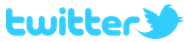 Profilo su Twitter